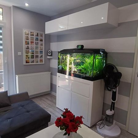 Apartament Rodzinny Z Ogrodkiem W Centrum Gizycka Lötzen Exterior foto